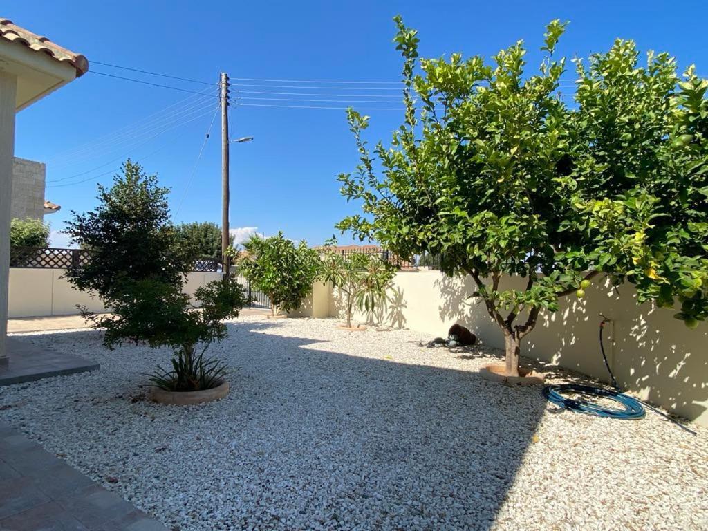 Villa Trachonas Pissouri Eksteriør billede